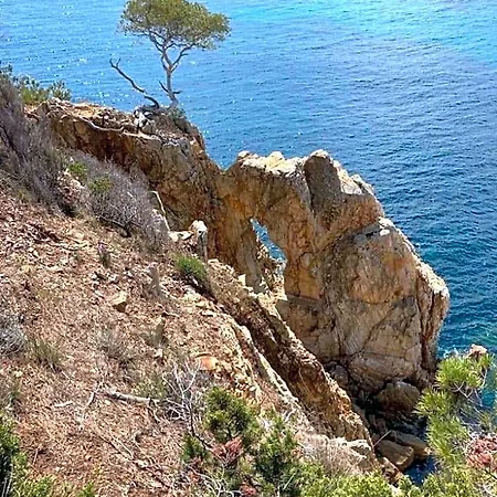 Oda ve Kahvaltı Atelierchic
