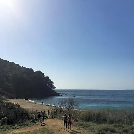 Oda ve Kahvaltı Atelierchic Le Lavandou